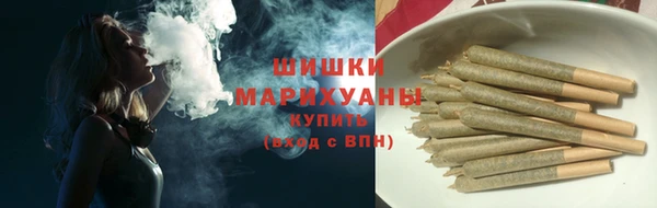 ПСИЛОЦИБИНОВЫЕ ГРИБЫ Липки