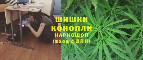 ПСИЛОЦИБИНОВЫЕ ГРИБЫ Липки