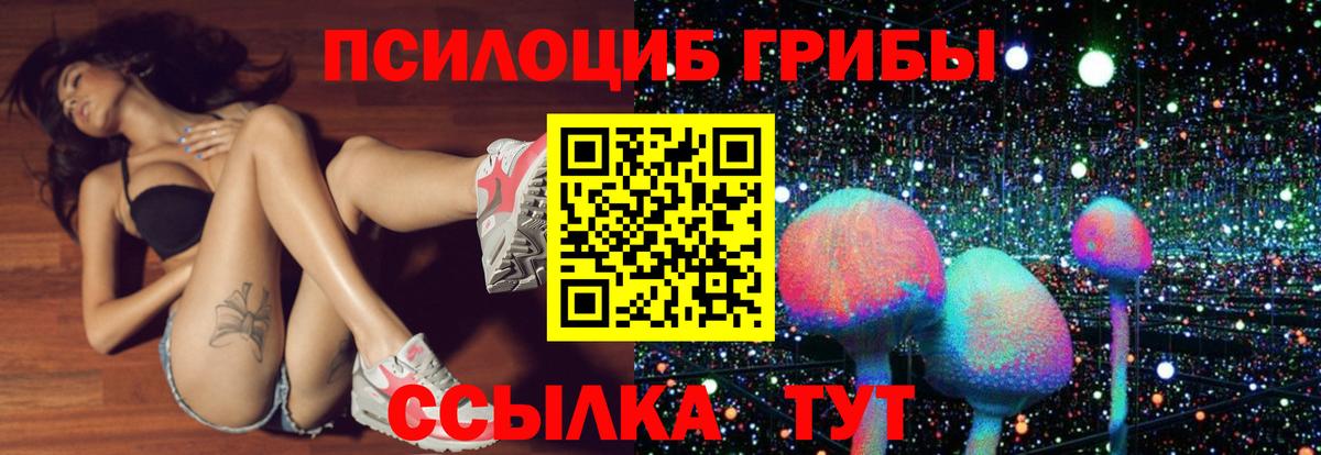 Псилоцибиновые грибы Psilocybine cubensis Назрань